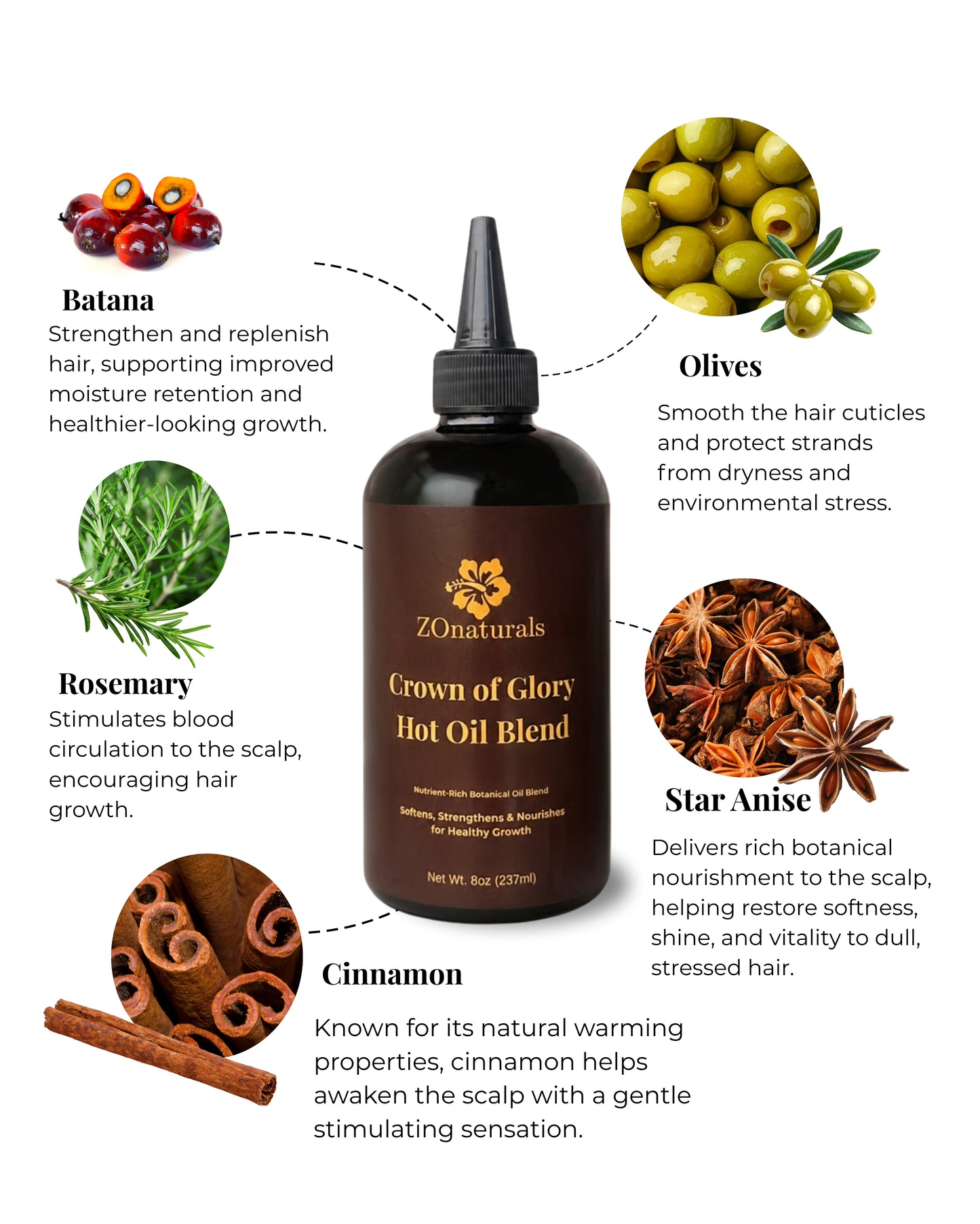 GLORY HOT OIL TREATMENT 8OZ